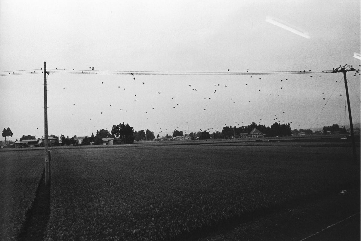 Yutaka Takanashi — IN': Silver Passin', Wind Scape, Last Seein'