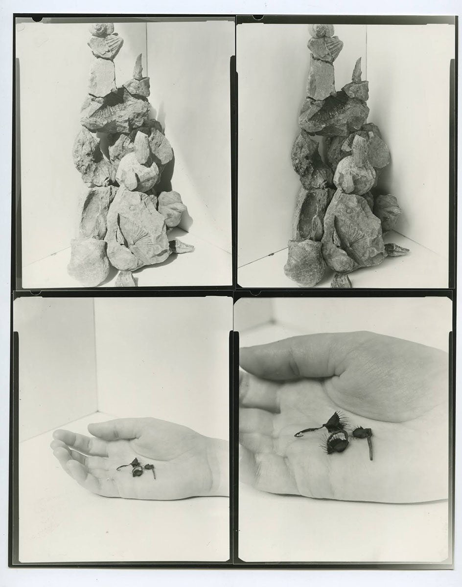 Wouter van de Voorde — Death is not Here