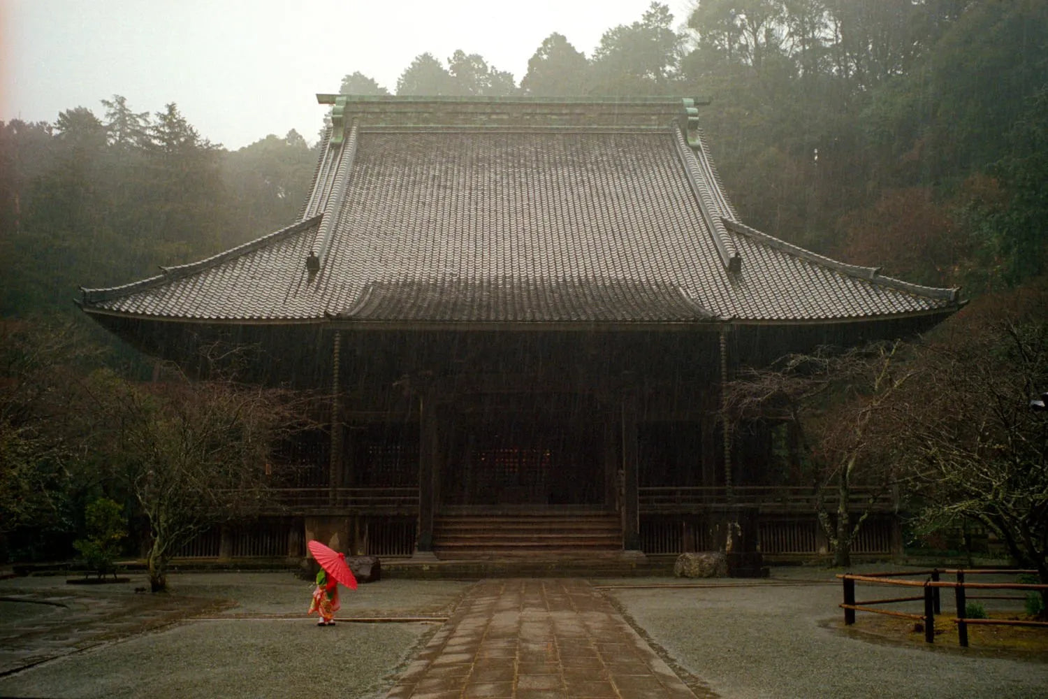 Shin Noguchi — In Color In Japan