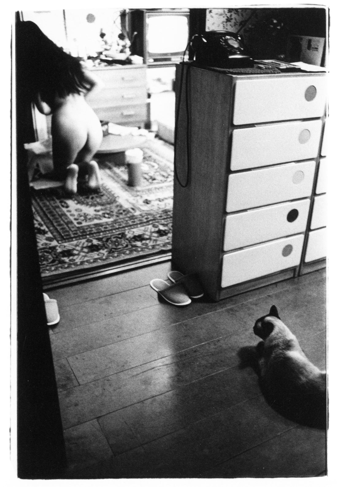 Masahisa Fukase — Wonderful Days