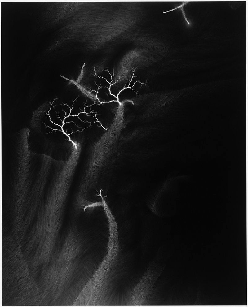 Hiroshi Sugimoto — Stop Time