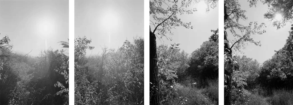 Robert Adams — Listening to the River