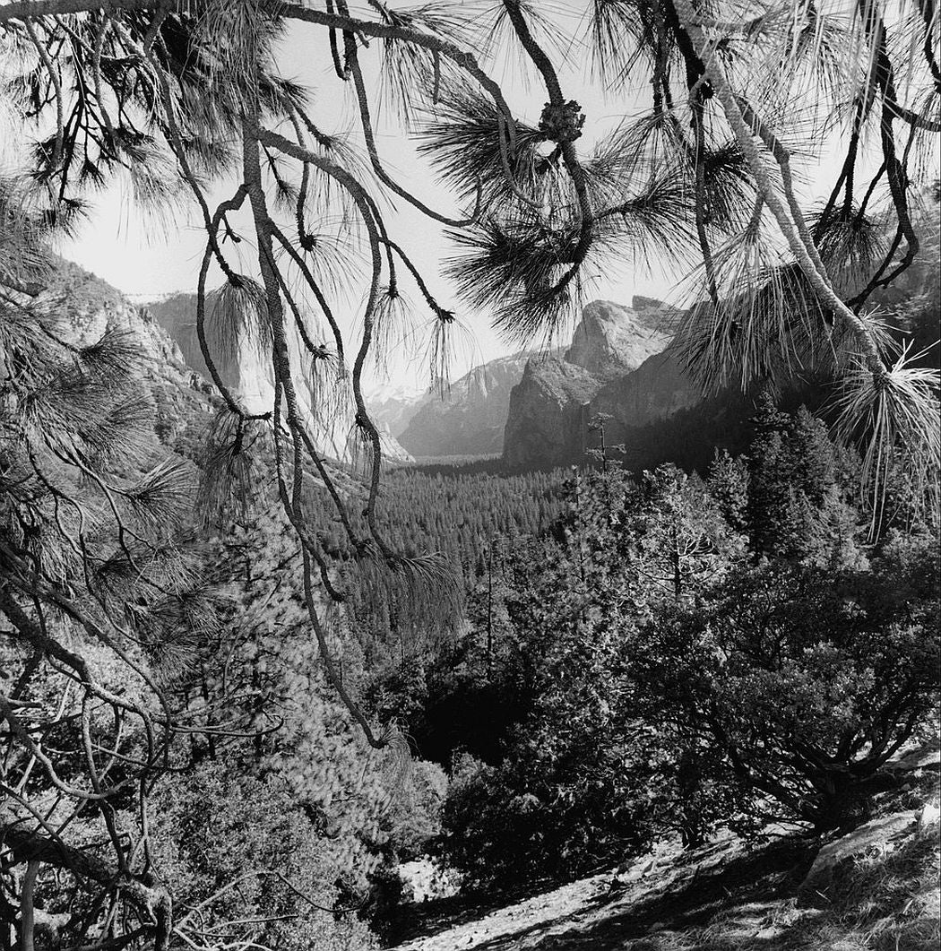 Lee Friedlander — Western Landscapes