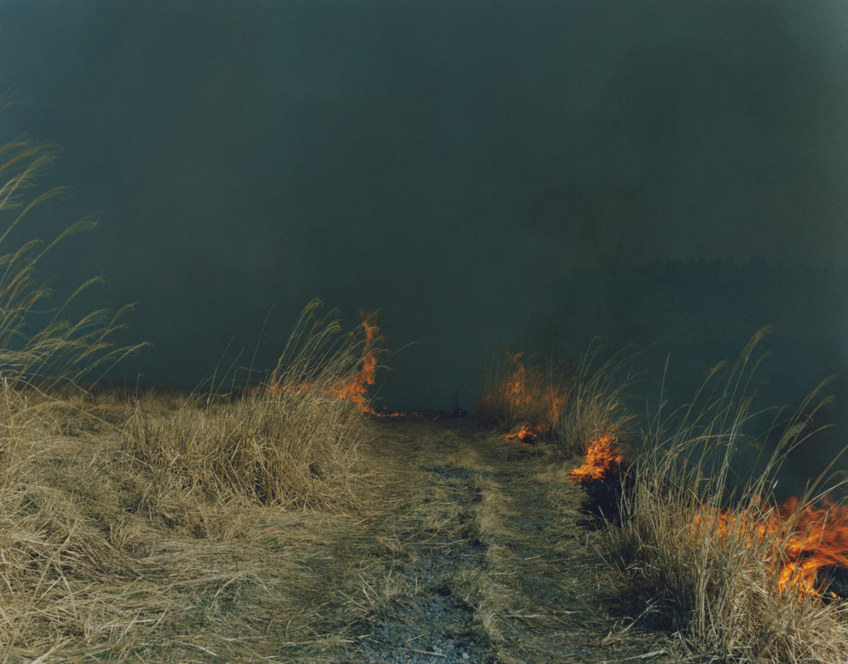 Rinko Kawauchi — Illuminance, Ametsuchi, Seeing Shadow
