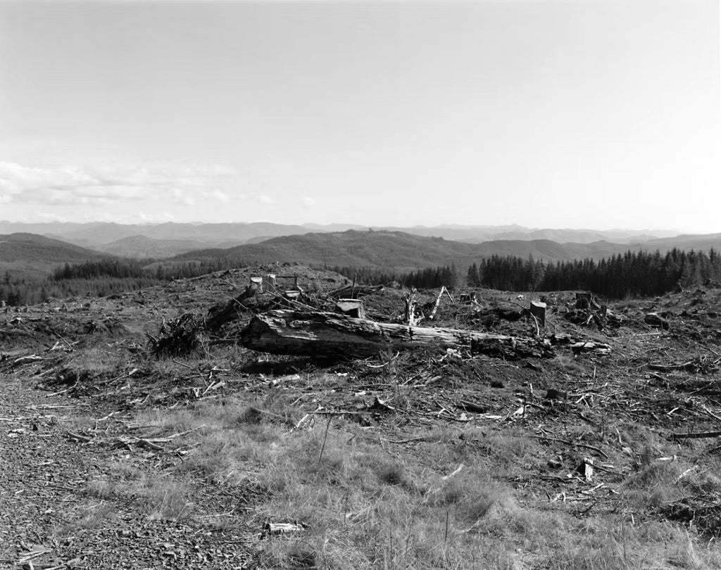 Robert Adams — Turning Back