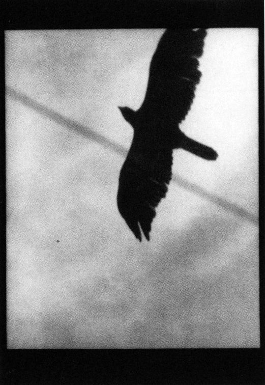 John Gossage — There and Gone