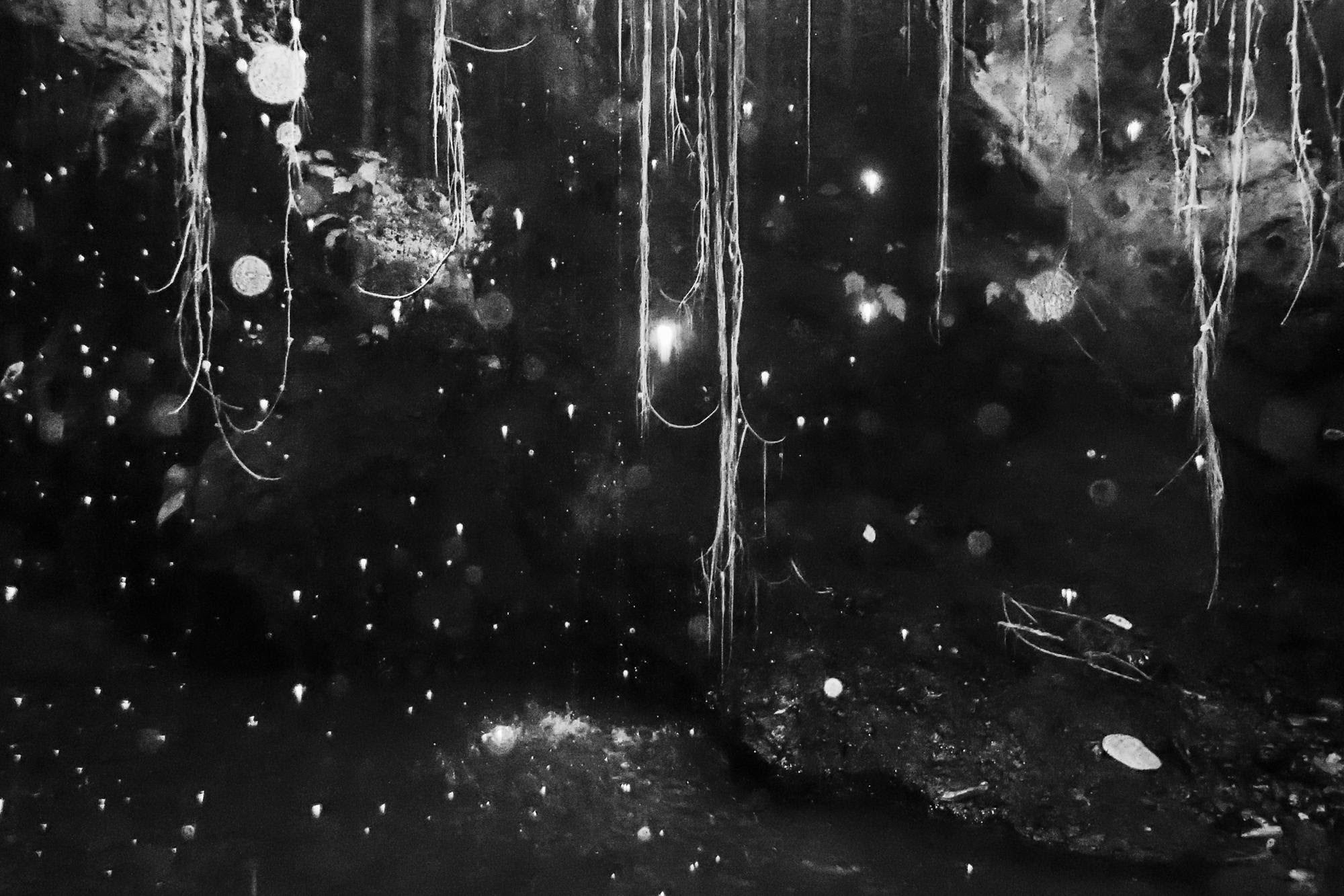 Alison McCauley — Anywhere but here