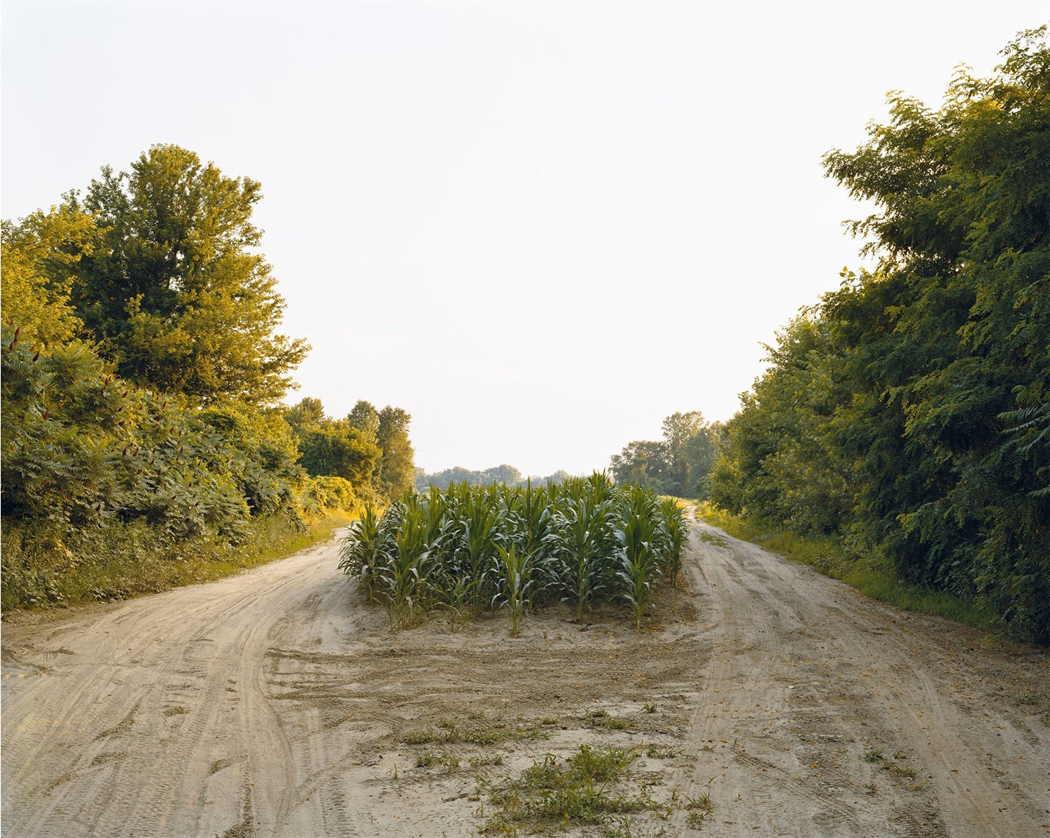 Joel Sternfeld — Oxbow Archive
