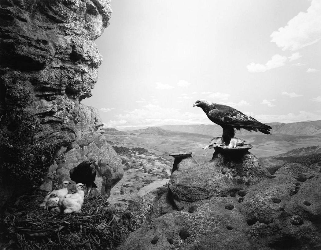 Hiroshi Sugimoto — Dioramas