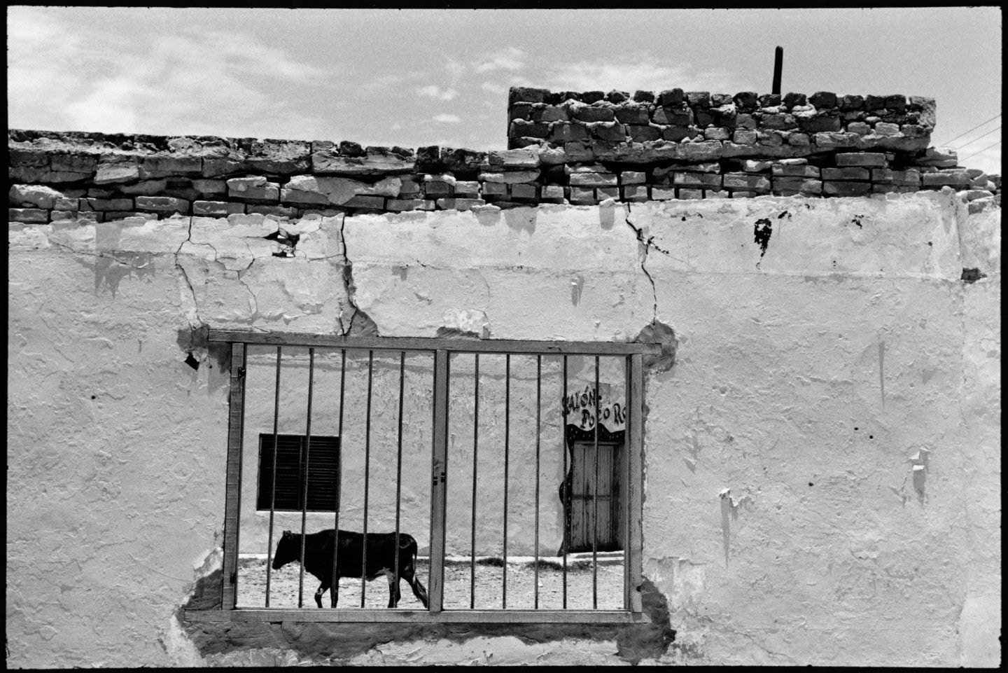 Alex Webb — Crossings