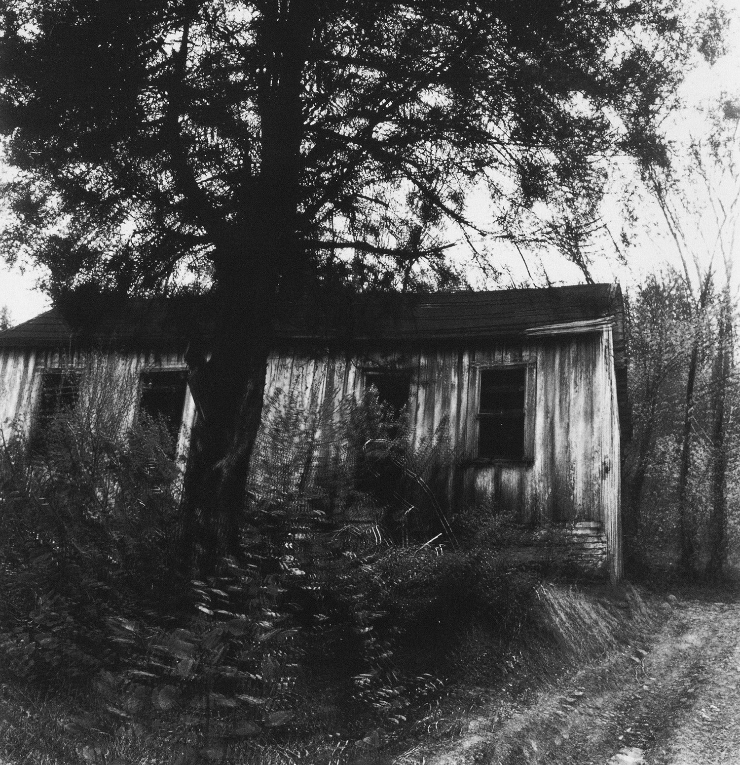 Ralph Eugene Meatyard — A Fourfold Vision