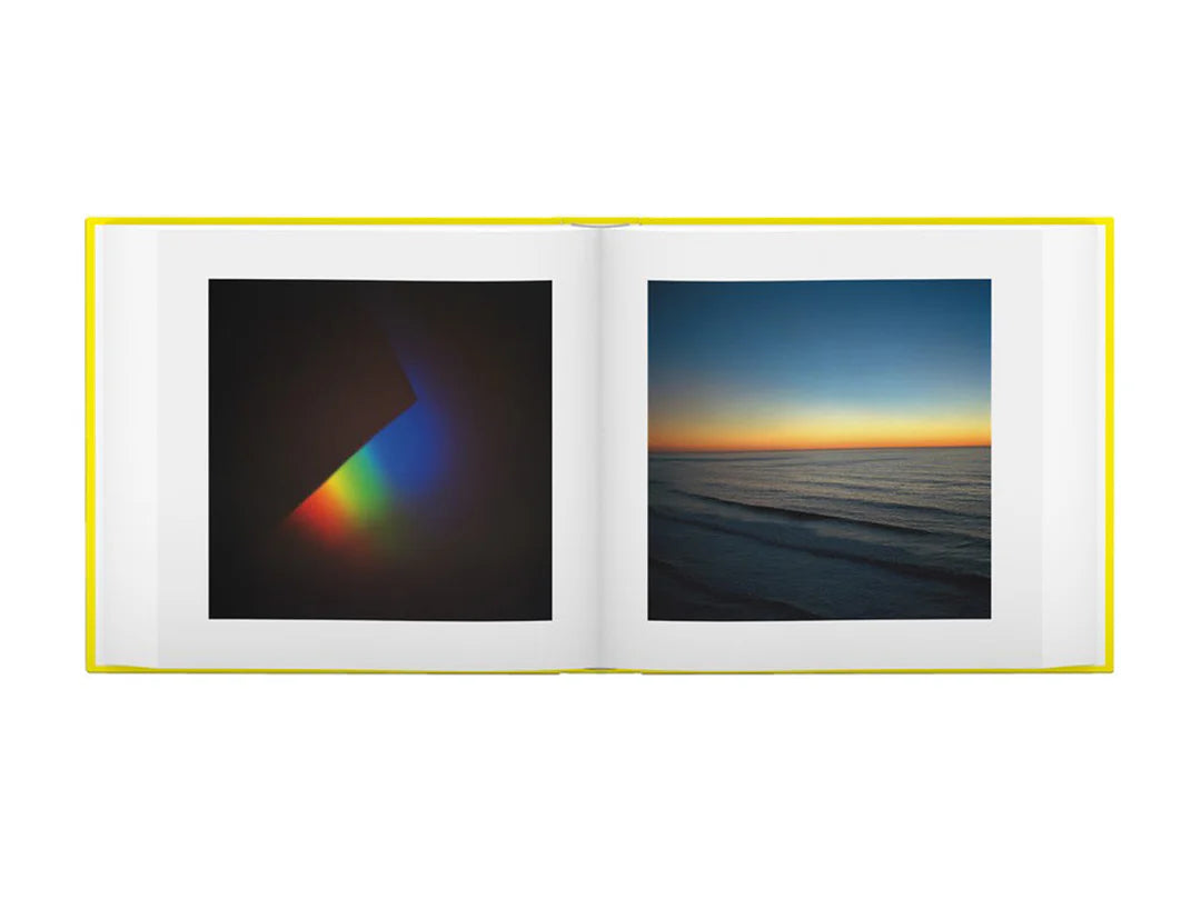 Jason Fulford & Tamara Shopshin — This Equals That