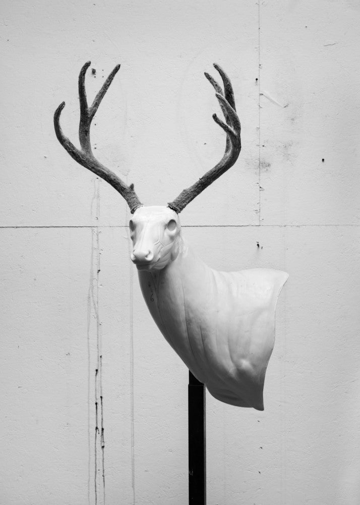 Alessandra Sanguinetti — Some Say Ice