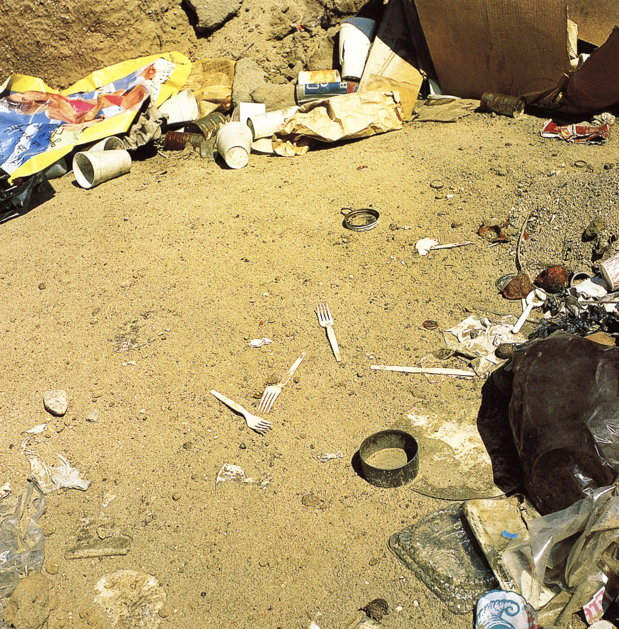 Anthony Hernandez — Sons of Adam: Landscapes for the Homeless II