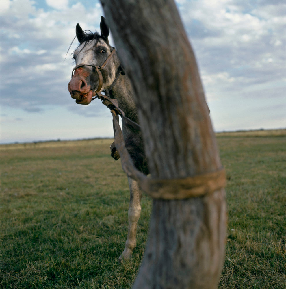 Alessandra Sanguinetti — On The Sixth Day