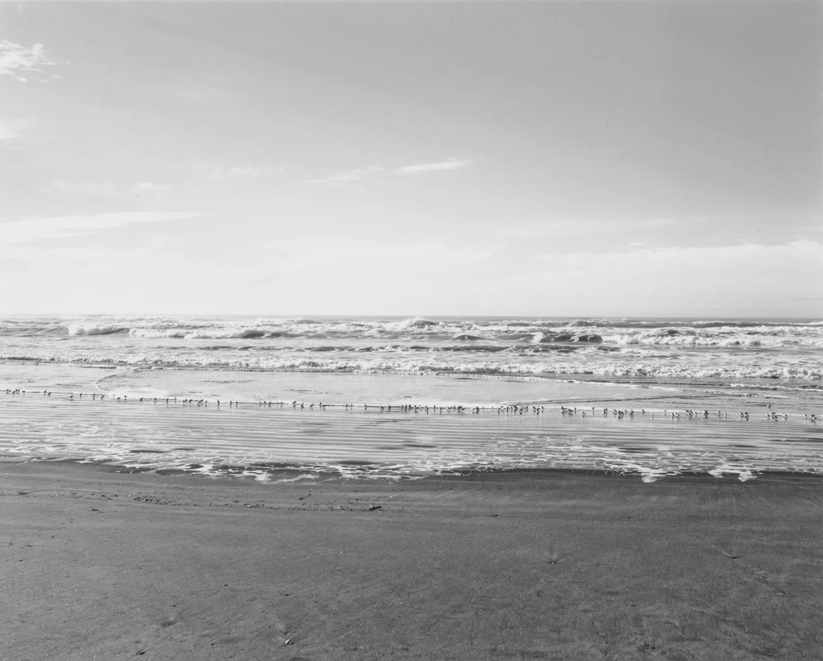 Robert Adams — Sea Stories