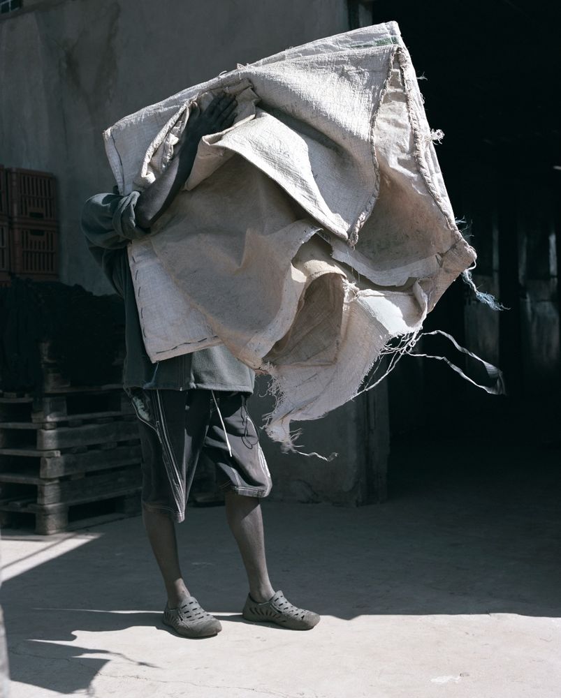 Jackie Nickerson — Terrain