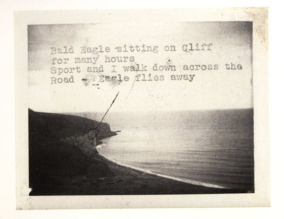 Robert Frank — Seven Stories