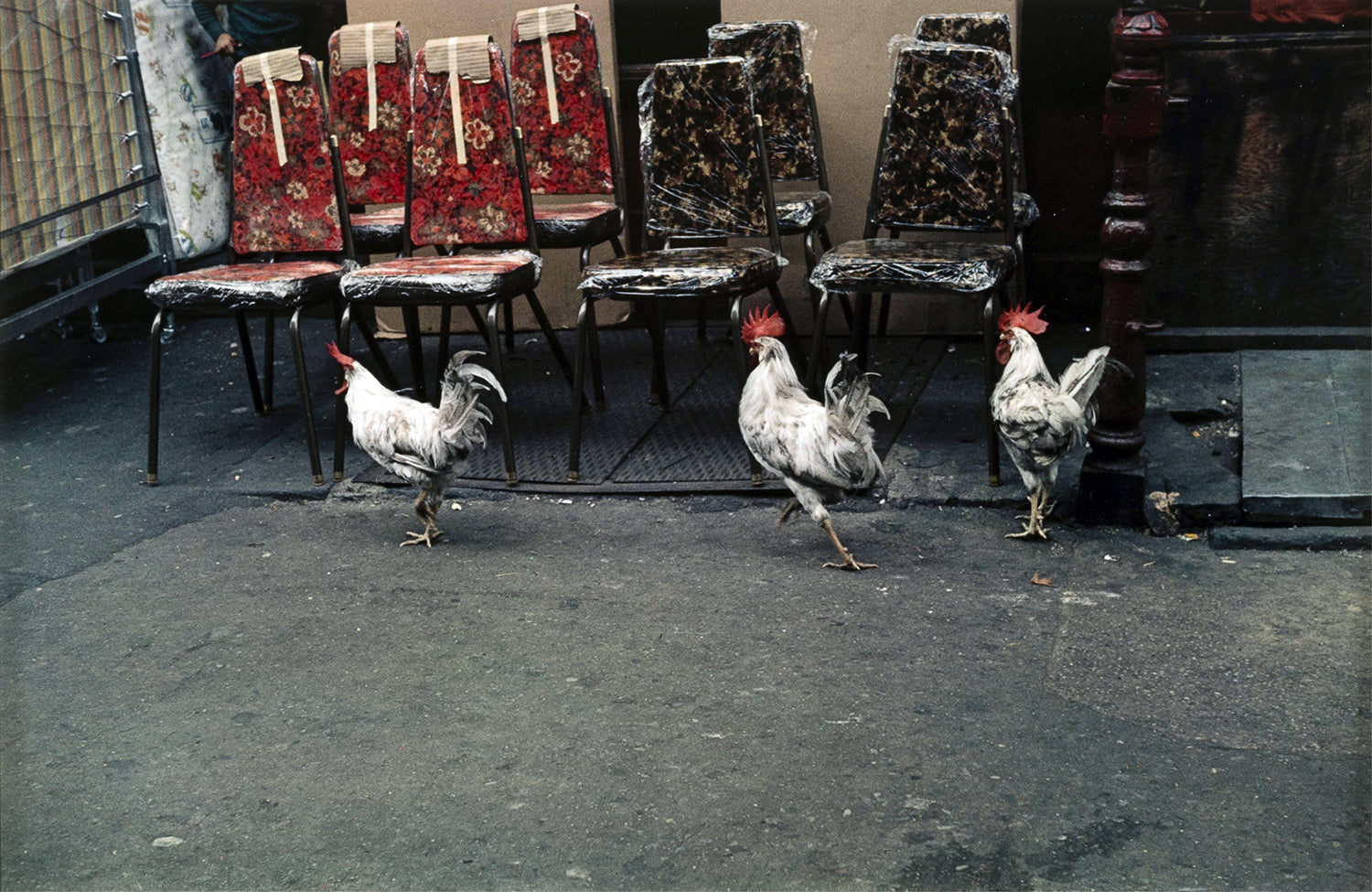 Helen Levitt — Helen Levitt
