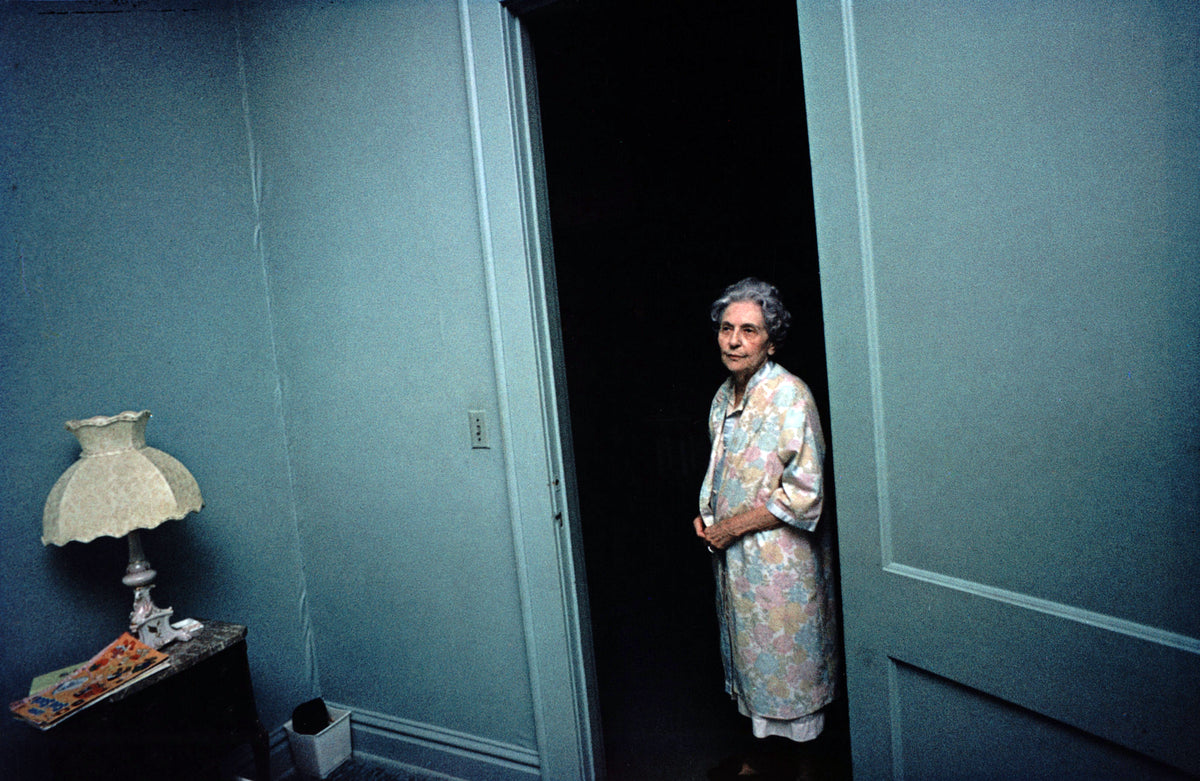 William Eggleston — William Eggleston's Guide
