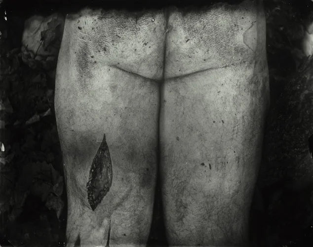 Sally Mann — What Remains