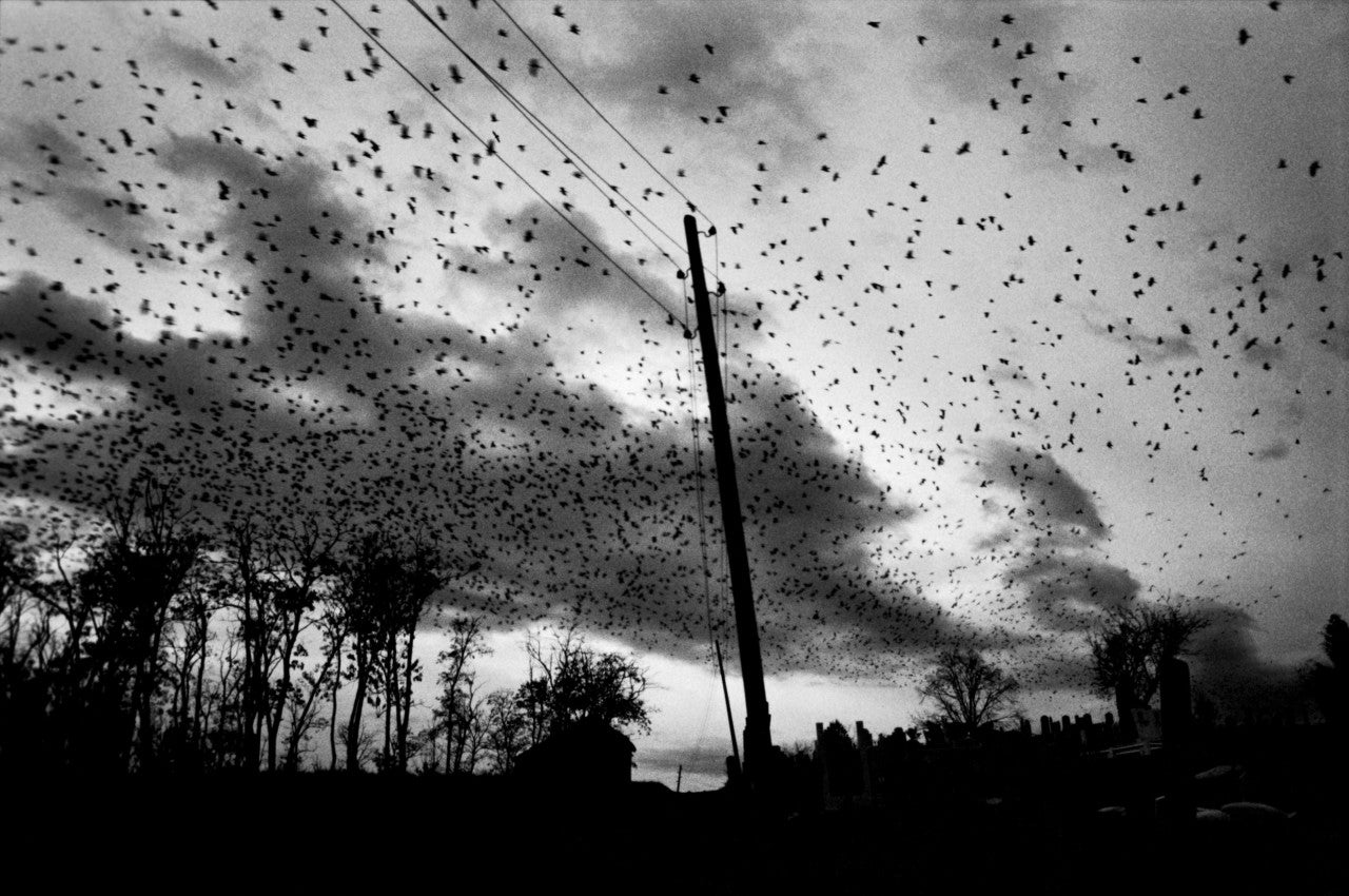 Paolo Pellegrin — Kosovo, 1999–2000: The Flight of Reason