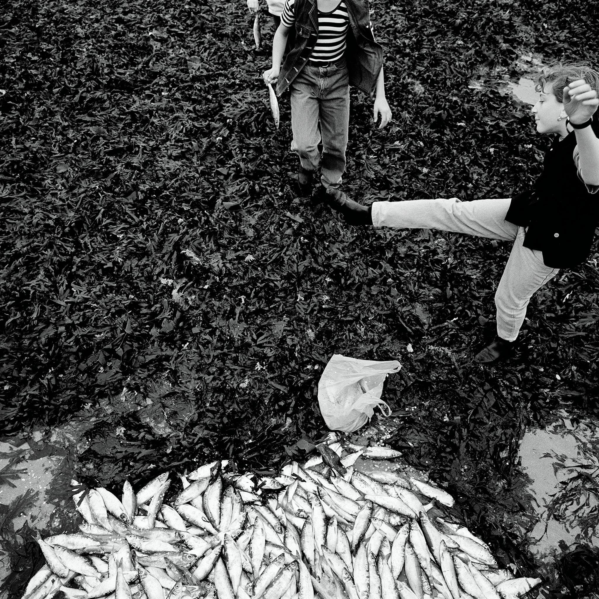 Mark Power —  The Shipping Forecast