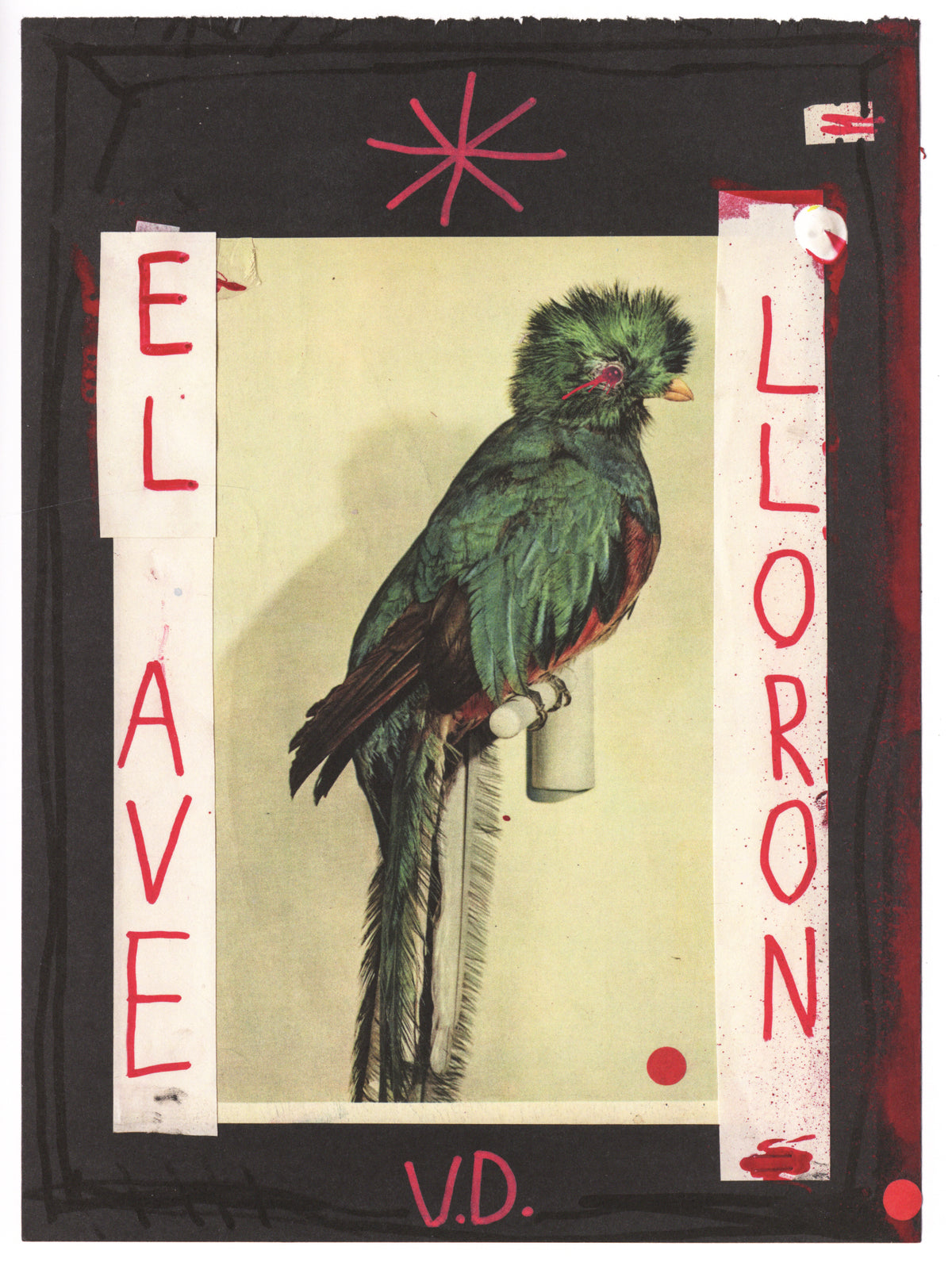 Vincent Delbrouck — Sharon Stone, La Vie des Animaux - Vol.1