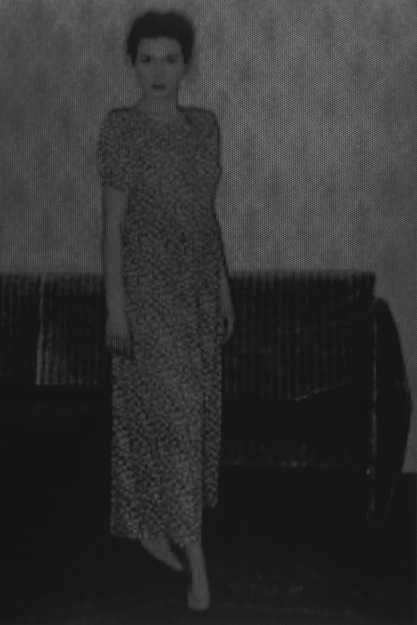 Dirk Braeckman — z.Z(t). Volume II