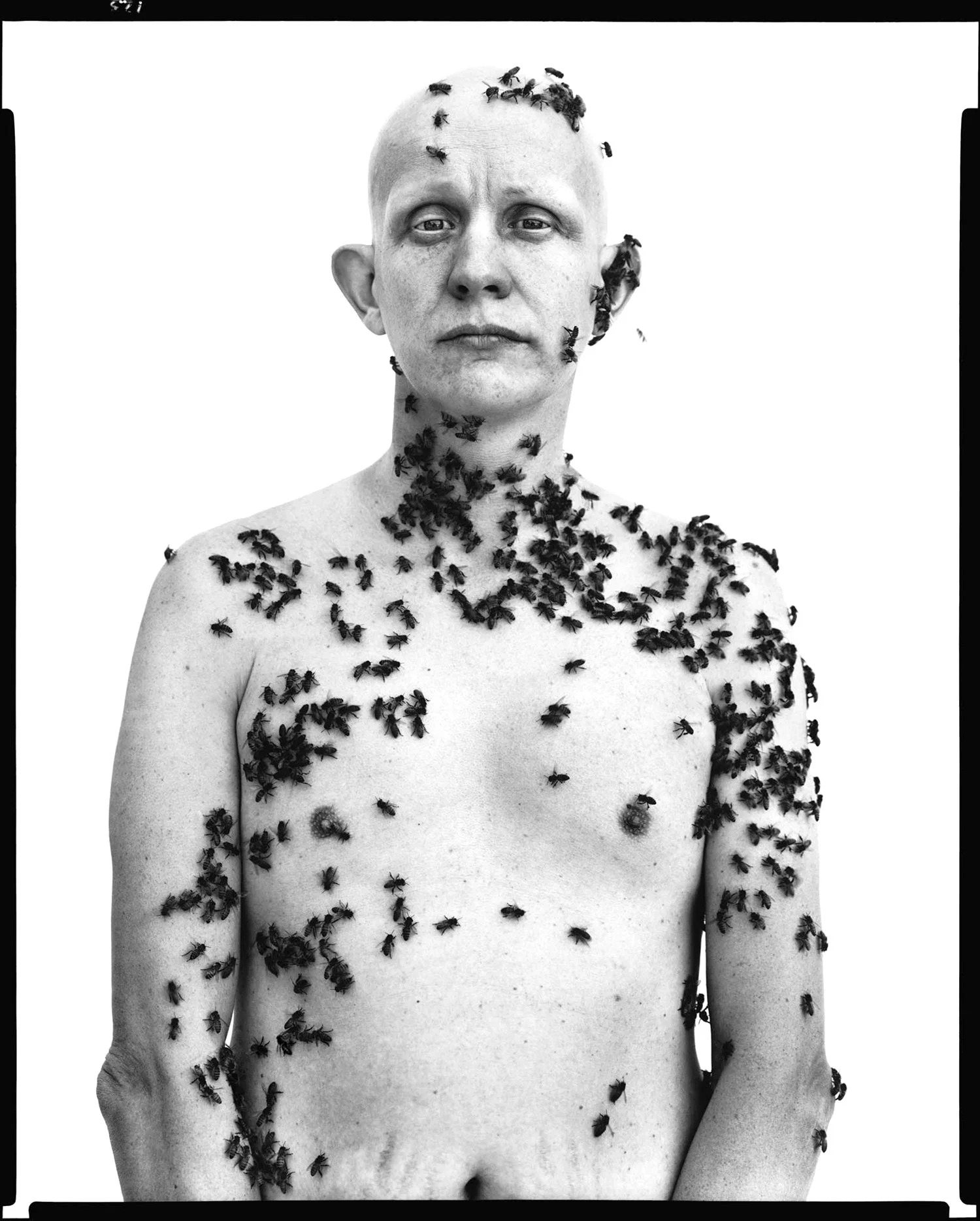 Richard Avedon — Evidence 1944-1994