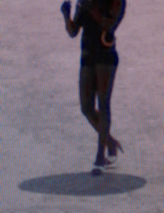 Michael Wolf — A Series of Unfortunate Events – Wolf Books