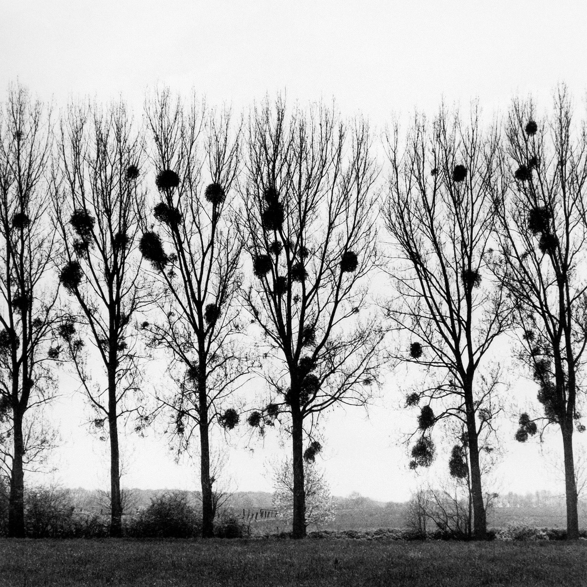 Gerry Johansson — Deutschland