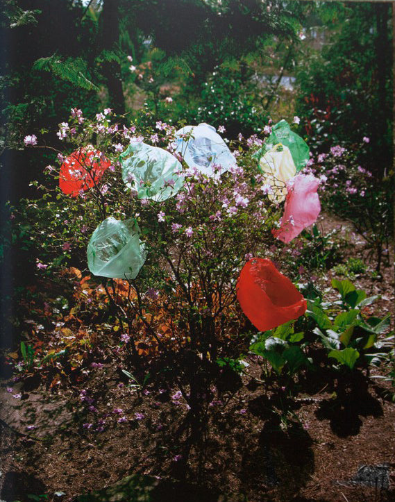 Elspeth Diederix — Things – As They Are