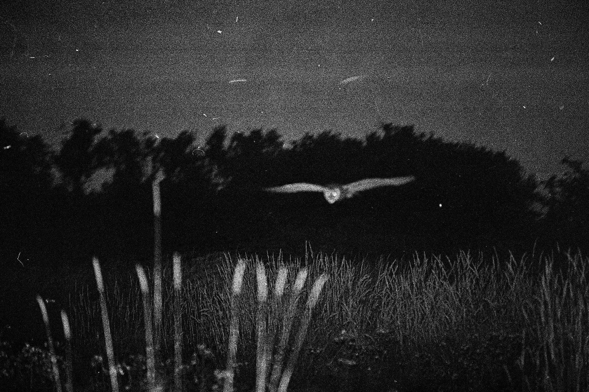 Marshall To — Blank Notes