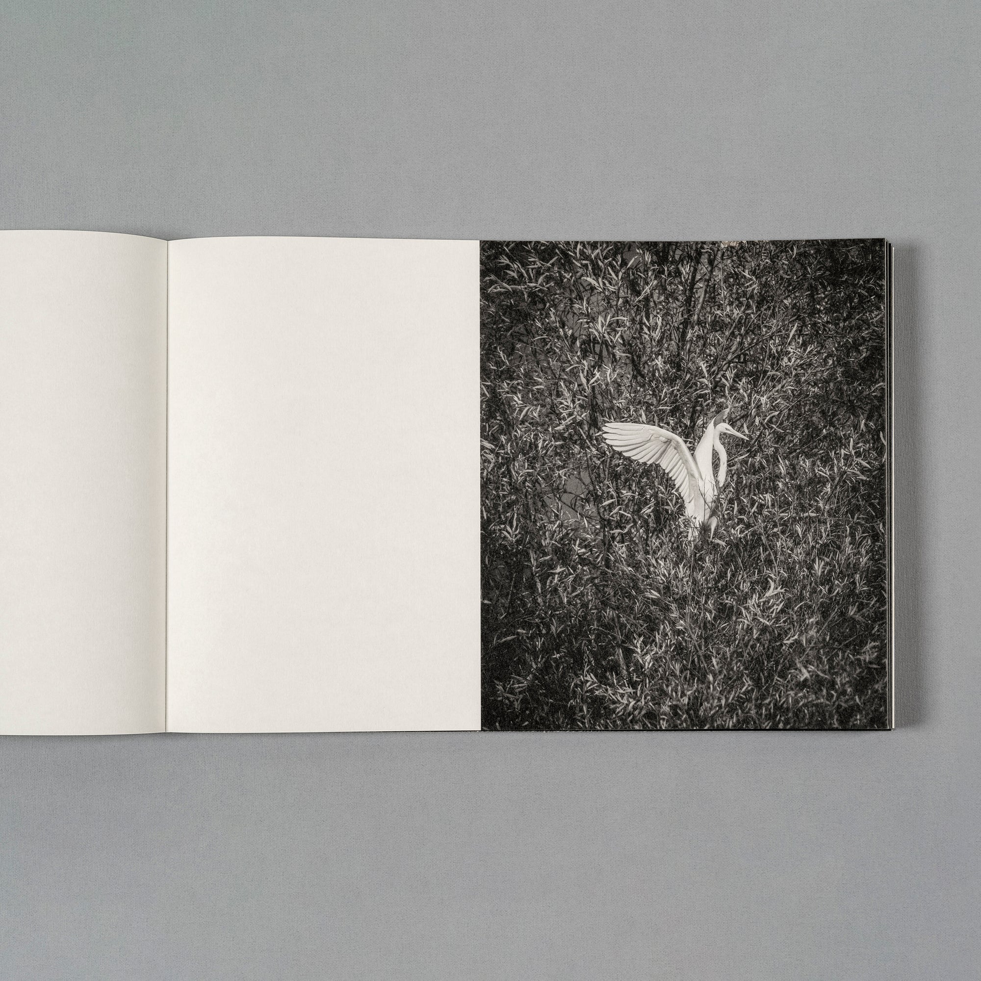 Hans Bol — On My Doorstep