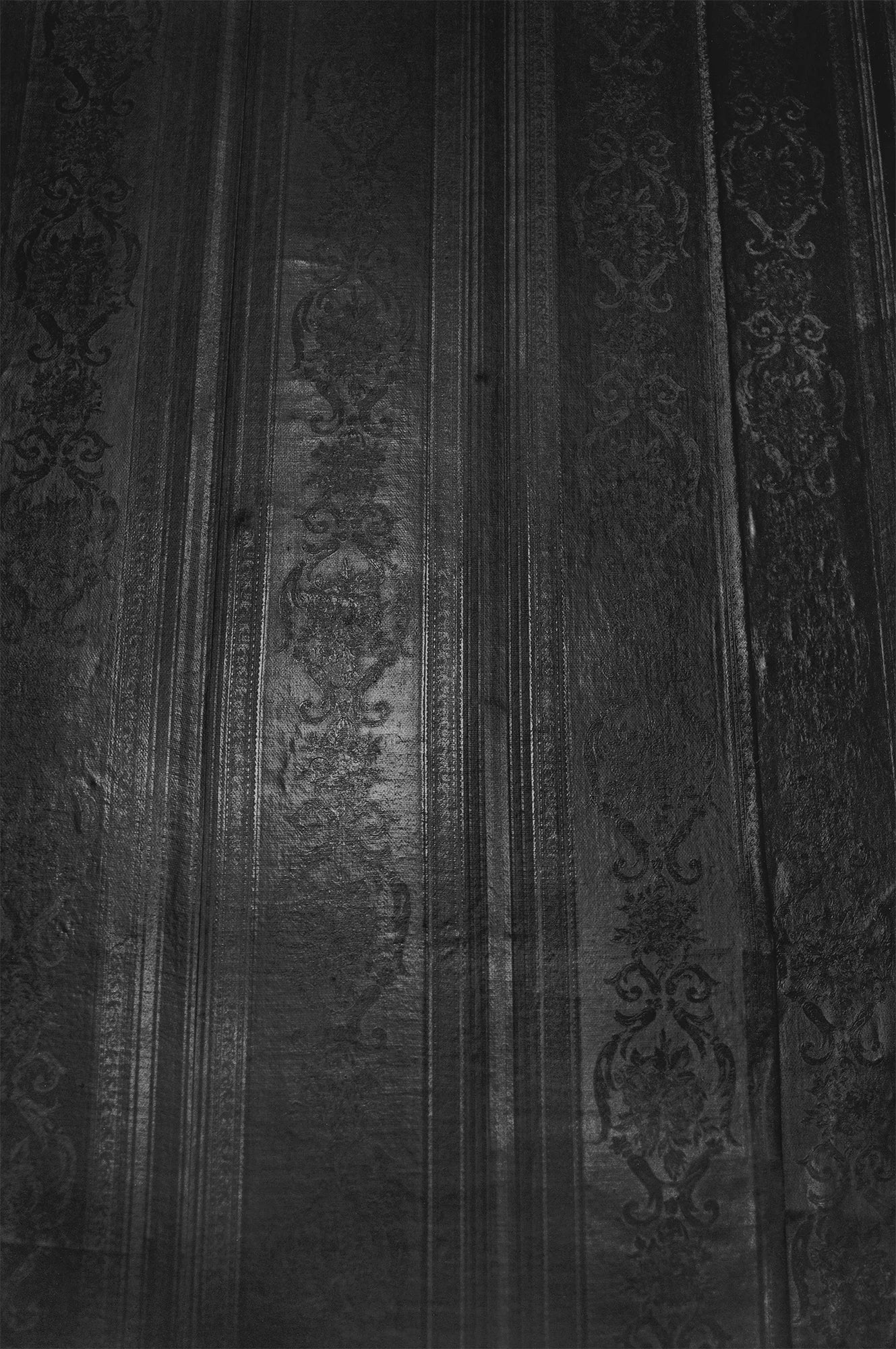 Dirk Braeckman