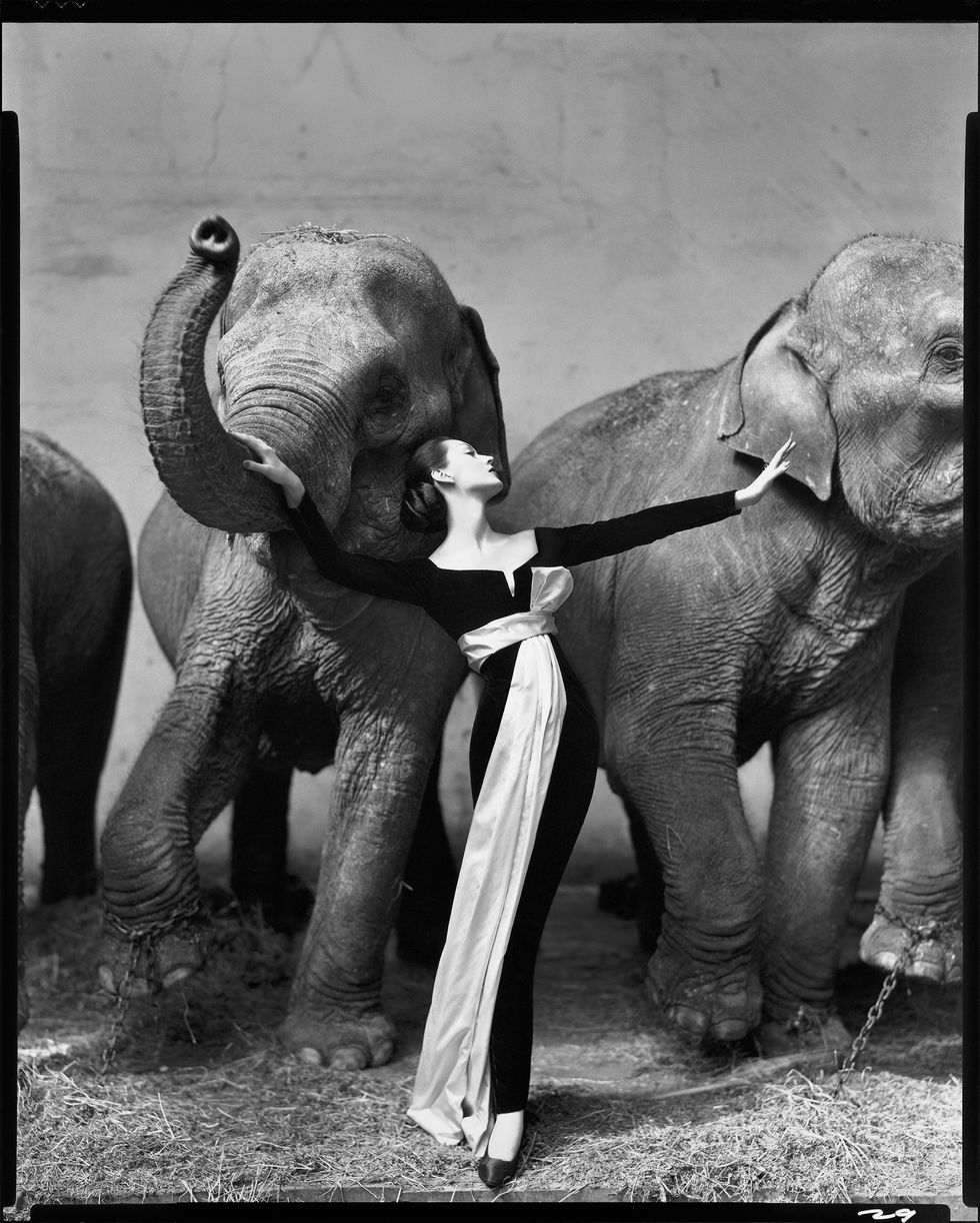Richard Avedon — Photographs 1946-2004