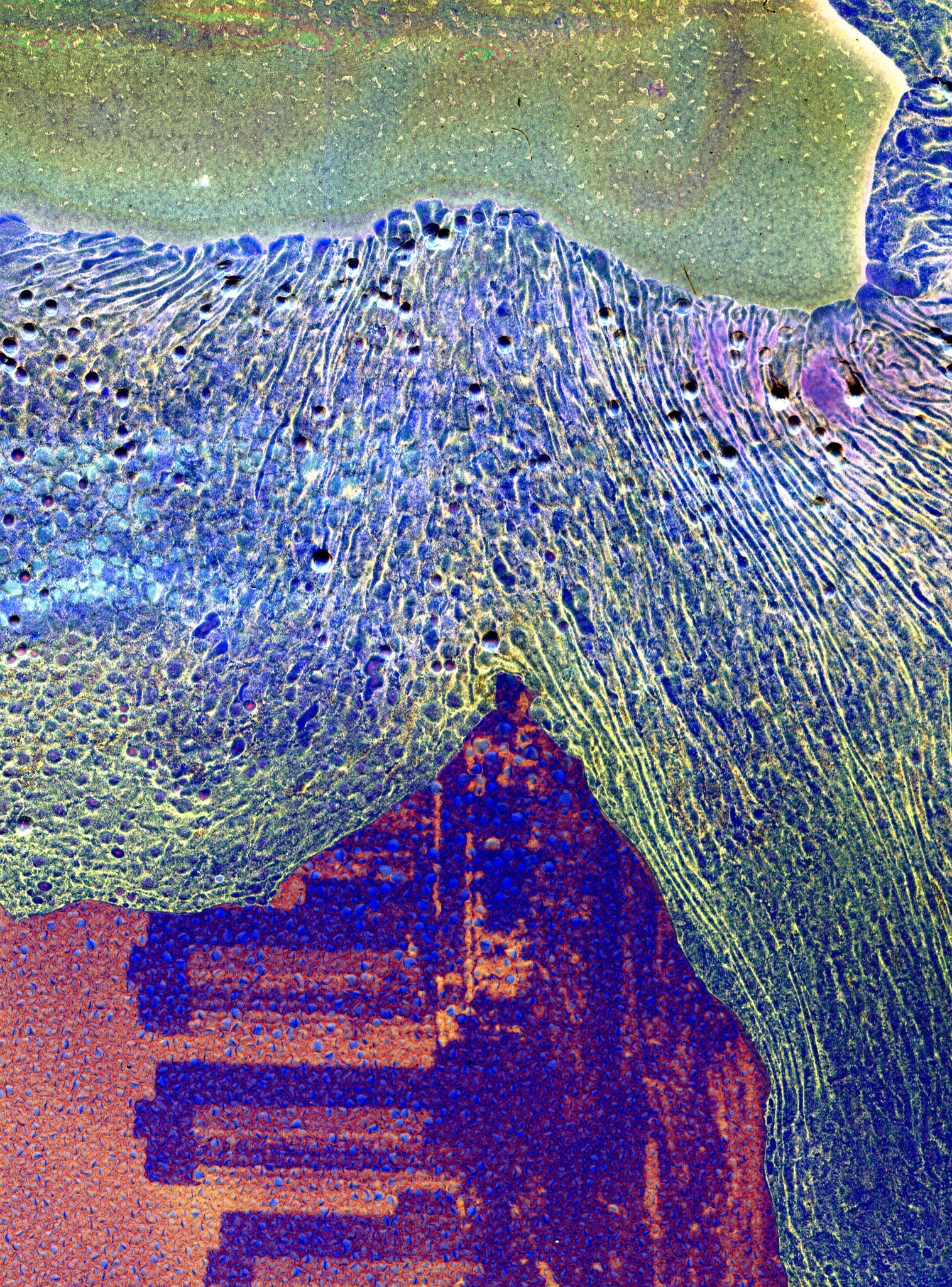 Daisuke Yokota — Matter / Burn Out