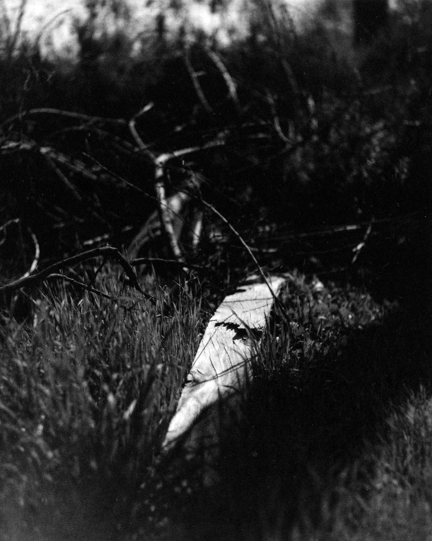 John Gossage — There and Gone
