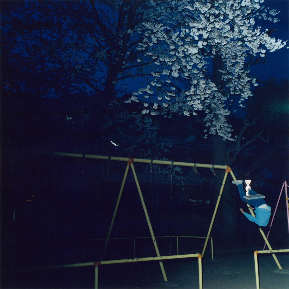 Rinko Kawauchi — The Eyes, The Ears
