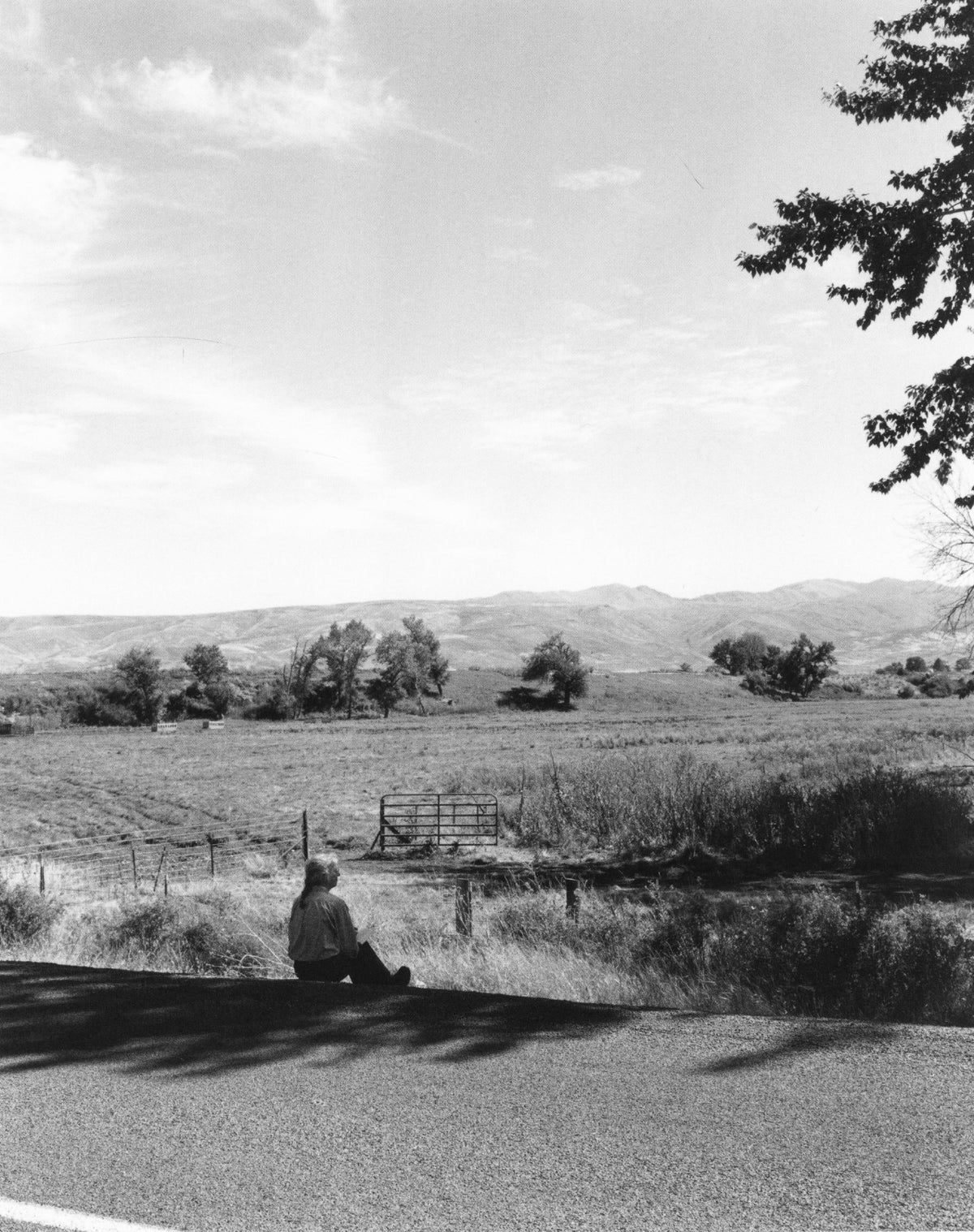 Robert Adams — Tree Line