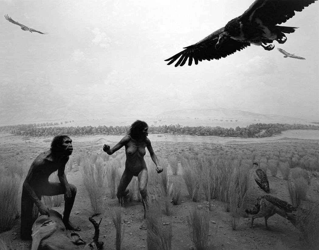 Hiroshi Sugimoto — Dioramas