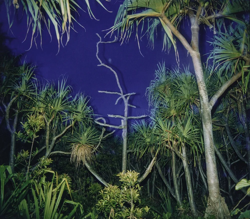 Kevin Moore — Starburst: Color Photography in America 1970–1980