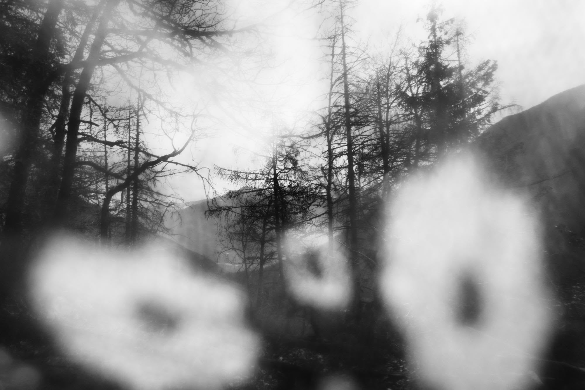 Alison McCauley — Anywhere but here