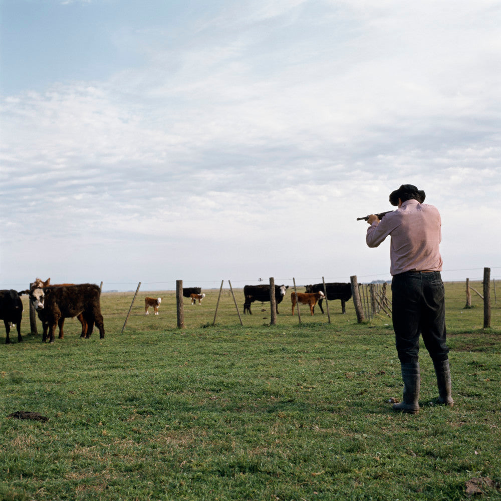 Alessandra Sanguinetti — On The Sixth Day
