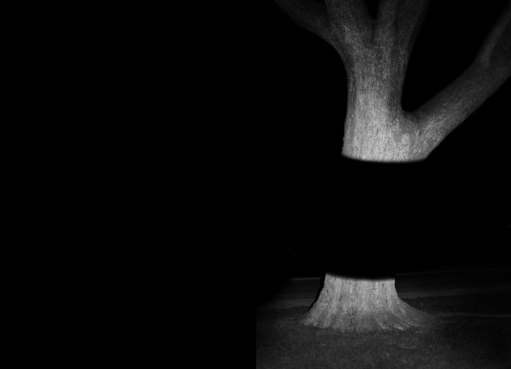 Tom Griggs — A Creature Obeys A Creature That Wants