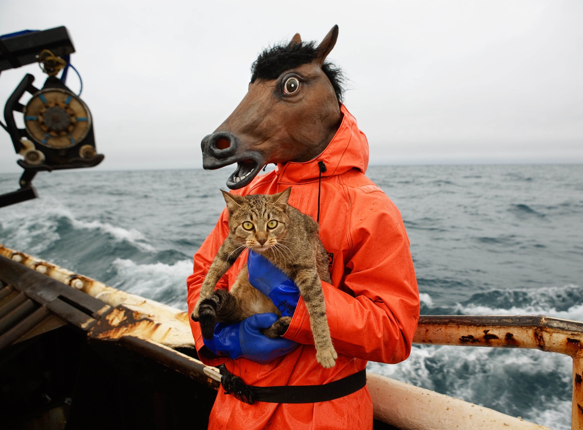 Corey Arnold — Fish-Work: The Bering Sea