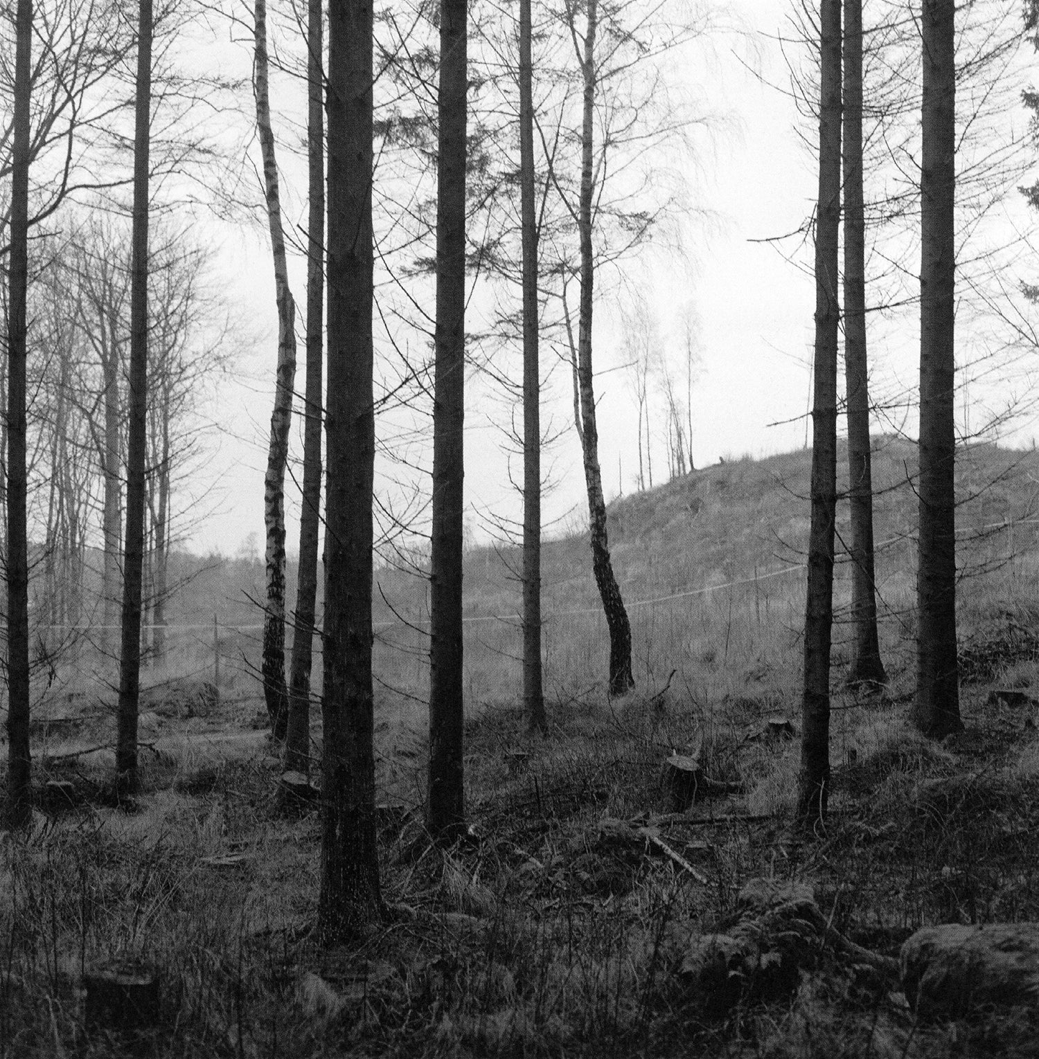 Gerry Johansson — Dalen