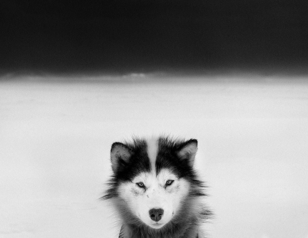 Ragnar Axelsson — Last Days of the Arctic