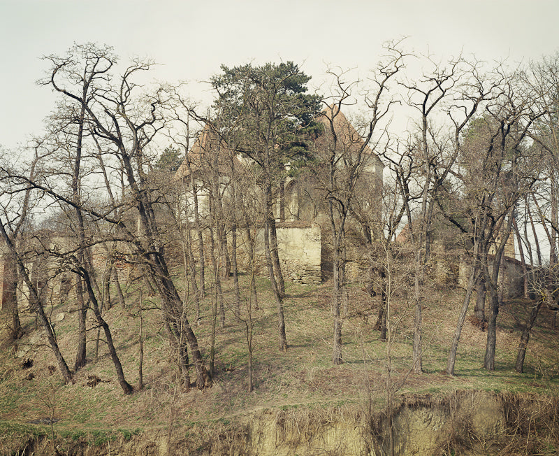 Clare Richardson — Beyond the Forest